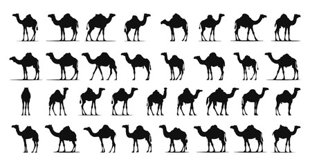 camel silhouettes set illustration