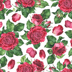 Seamless pattern with pink roses. Watercolor botanical illustration. Isolated on a white background. Hand drawn flower, leaves and petals. For the design of women's clothing, bed linen, fabrics