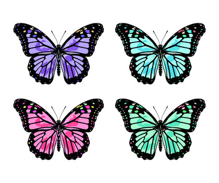 Beautiful colorful set butterfly cartoon exotic vector isolated on white pastel light blue butterfly with colorful wings and antennae sticker flat design