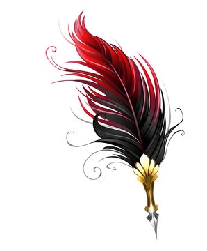 Red Feathers Images – Browse 874,764 Stock Photos, Vectors, and Video