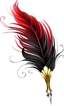 Red Feather Images – Browse 652 Stock Photos, Vectors, and Video