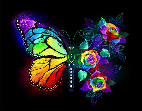 RAINBOW BUTTERFLIES TOP main image 0