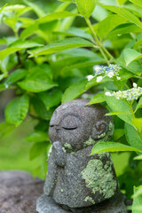 アジサイとお地蔵様