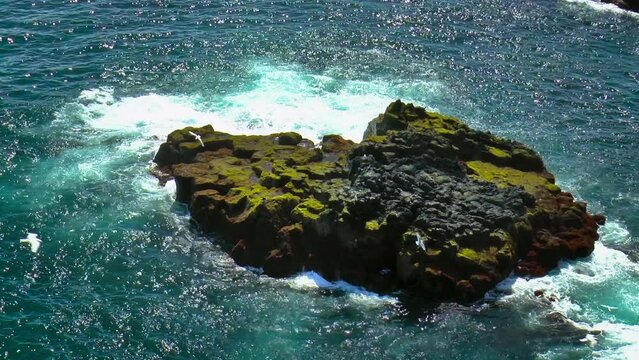 Slow motion footage of sea waves on coast line with cliffs and rocks in Arnarstapi village in Iceland on Snaefellsnes peninsula.