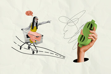 Image 3d sketch minimal collage picture of crazy carefree lady sitting riding pushcart hurry hypermarket isolated on painted background