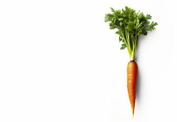 Carrot and leaves with a soft shadow on a white background. Generative AI