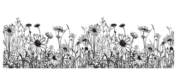 Wildflowers border sketch hand drawn in doodle style illustration - obrazy, fototapety, plakaty