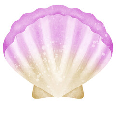 Sea shell