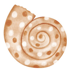Sea shell