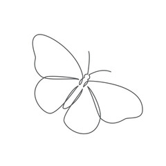 Butterfly One line drawing on white background