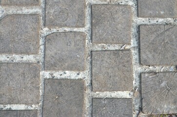 Street tile (pavement) wooden pattern