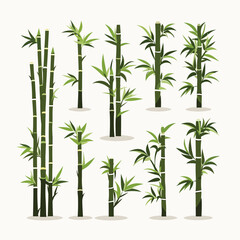 Bamboo vector set isolated on white
