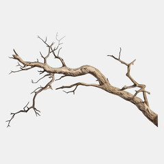 Old dry branch vector isolated on white