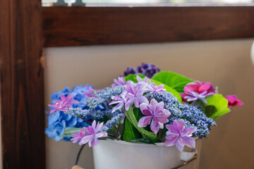 バケツに入った紫陽花