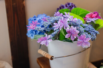 バケツに入った紫陽花