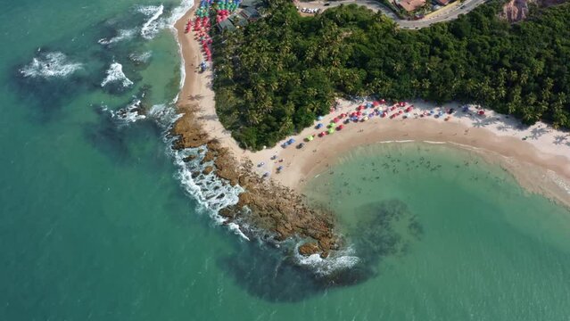 Rotating aerial drone bird's eye extreme wide shot of the tropical Coquerinhos beach with colorful umbrellas, palm trees, golden sand, turquoise water, and tourist's swimming in Conde, Paraiba, Brazil