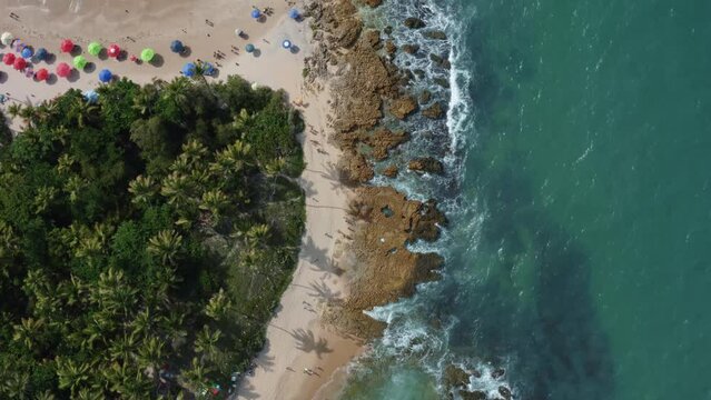Aerial drone bird's eye wide shot of the popular tropical Coquerinhos beach with waves crashing into exposed rocks, palm trees, golden sand, turquoise water, tourists swimming in Conde, Paraiba Brazil