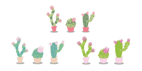 vector illustration set of stylized indoor cacti. Flowering succulents in pots - options in different colors.
