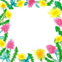 Fototapeta na wymiar Yellow dandelion and clover flowers, hand drawn - floral frame on white background