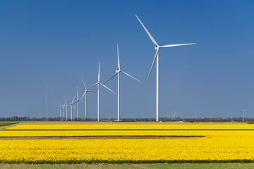 Meubelstickers wind turbines with yellow tulip field in Northern Holland, Netherlands © Richard Semik