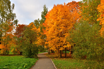 The autumn in a boulevard in Zelenograd in Moscow, Russia