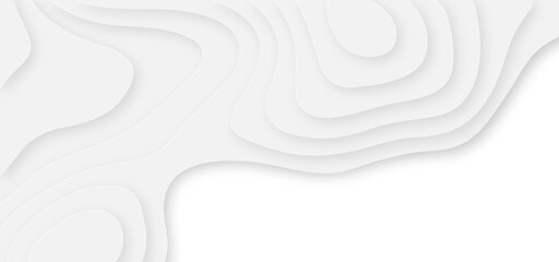 White abstract geometric pattern background, wave and curve abstract background. Abstract wavy line 3d paper cut white background.	
