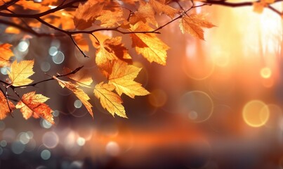 Naklejka na ściany i meble Sunlight falling from autumn leaves landscape photo. Generative AI