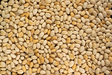 Macro shot of beans isolate on a background. Top view of food - beans texture