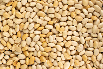 Macro shot of beans isolate on a background. Top view of food - beans texture