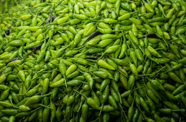 Abundant Green Chili Stack: A Spicy Delight
