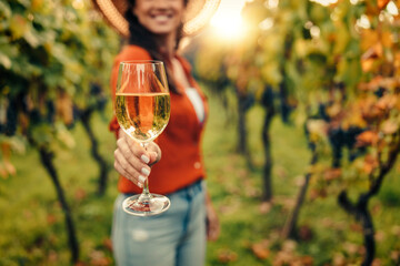 Woman holding glass of white wine in vineyard