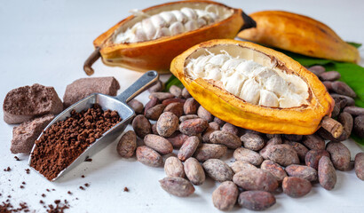 Cut in half ripe cacao pods with white cocoa seed and brown cocoa powder on white background