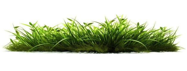 Green grass with white background. Generative AI