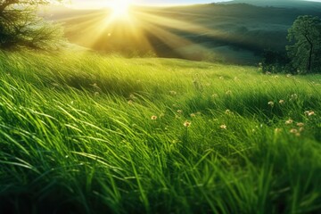 Obraz na płótnie Canvas A grassy field with sun rays behind it. Generative AI