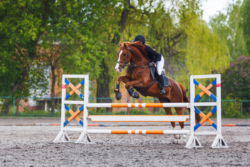 Young woman riding horseback jumping over the hurdle on showjumping course in equestrian sports event