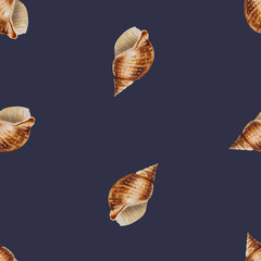 Watercolor seamless pattern with shells. Hand painting clipart underwater life objects on a white isolated background. For designers, decor