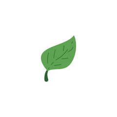 Green leaf ecological sign flat style, vector illustration