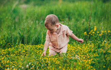 Fototapeta premium little baby playing in a field with wildflowers