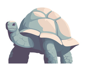Slow walking turtle, cute reptile mascot symbol