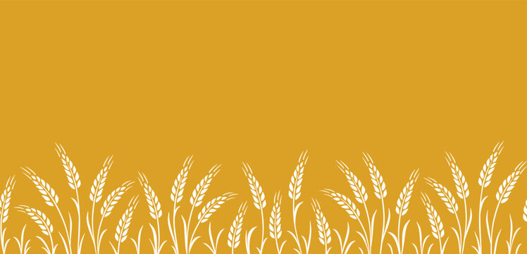 seamless pattern with wheat, oat, rye stalks stripe