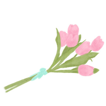 Pink Tulips On White Background