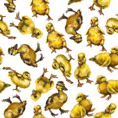 Seamless pattern with a lot of little ducks. Watercolor drawing isolated on white background.
