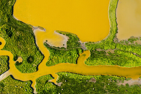 une zone humide dans les marais à l'embouchure de l'orne en normandie