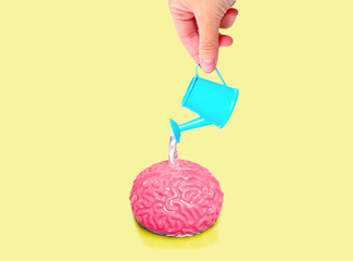Toy Watering Can Pours Water over the Human Brain Model