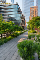 The High Line Park promenade in summer. Elevated greenway in Chelsea, Manhattan. New York City