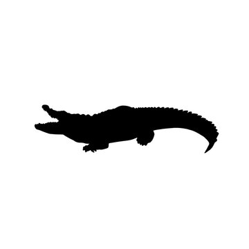 silhouette of a crocodile gaping