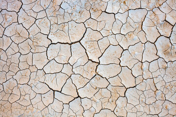 Dry cracked earth background. Global warming and climate change concept.
