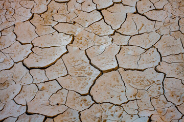 Dry cracked earth background. Global warming and climate change concept.