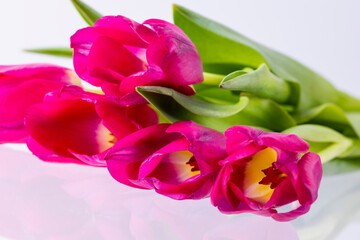 Obraz premium Bouquet of red tulips close-up on reflective surface, copy space