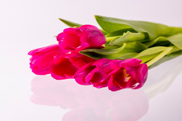 Bouquet of red tulips close-up on reflective surface, copy space